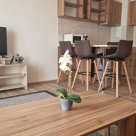 Apartment Kamelia *